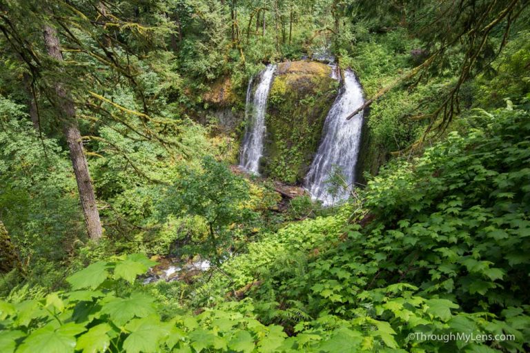 Upper McCord Creek Falls in the Columbia River Gorge - Through My Lens